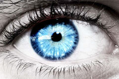 personal skills (Image sourced from Flickr Creative Commons images)